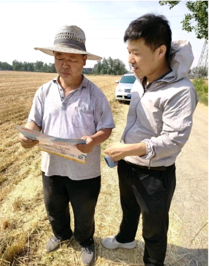 不惧酷暑战三夏 齐心协力保粮安——省农担聊城管理中心党支部扎实开展庄稼汉之友助三夏攻坚行动(图5)