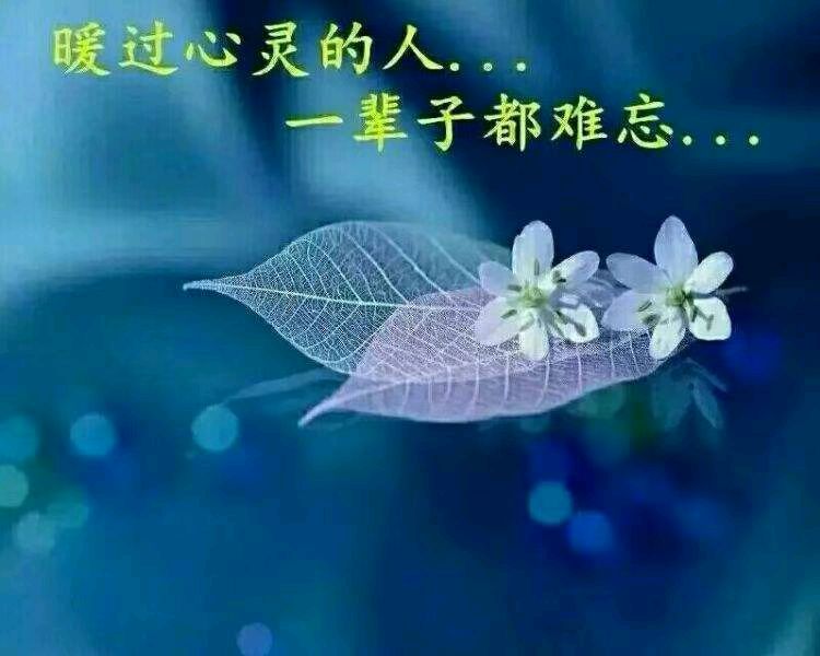 诗情（外一首）——文/美丽——【世界汉诗】征稿——都市头条（图3）