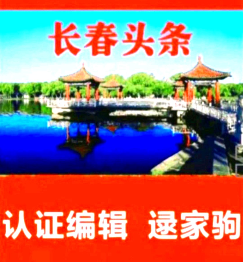 端午爱的奉献（图10）