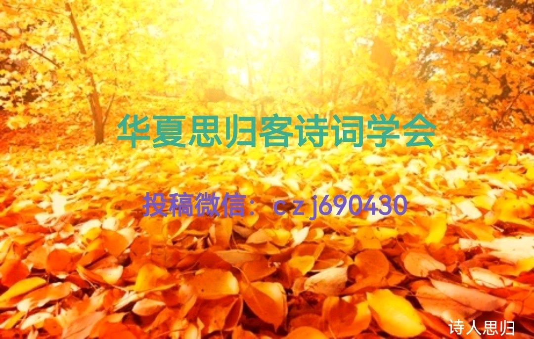 七绝/咏芍药（外二首）——文/熊洪诚——【世界汉诗】征稿——都市头条（图3）