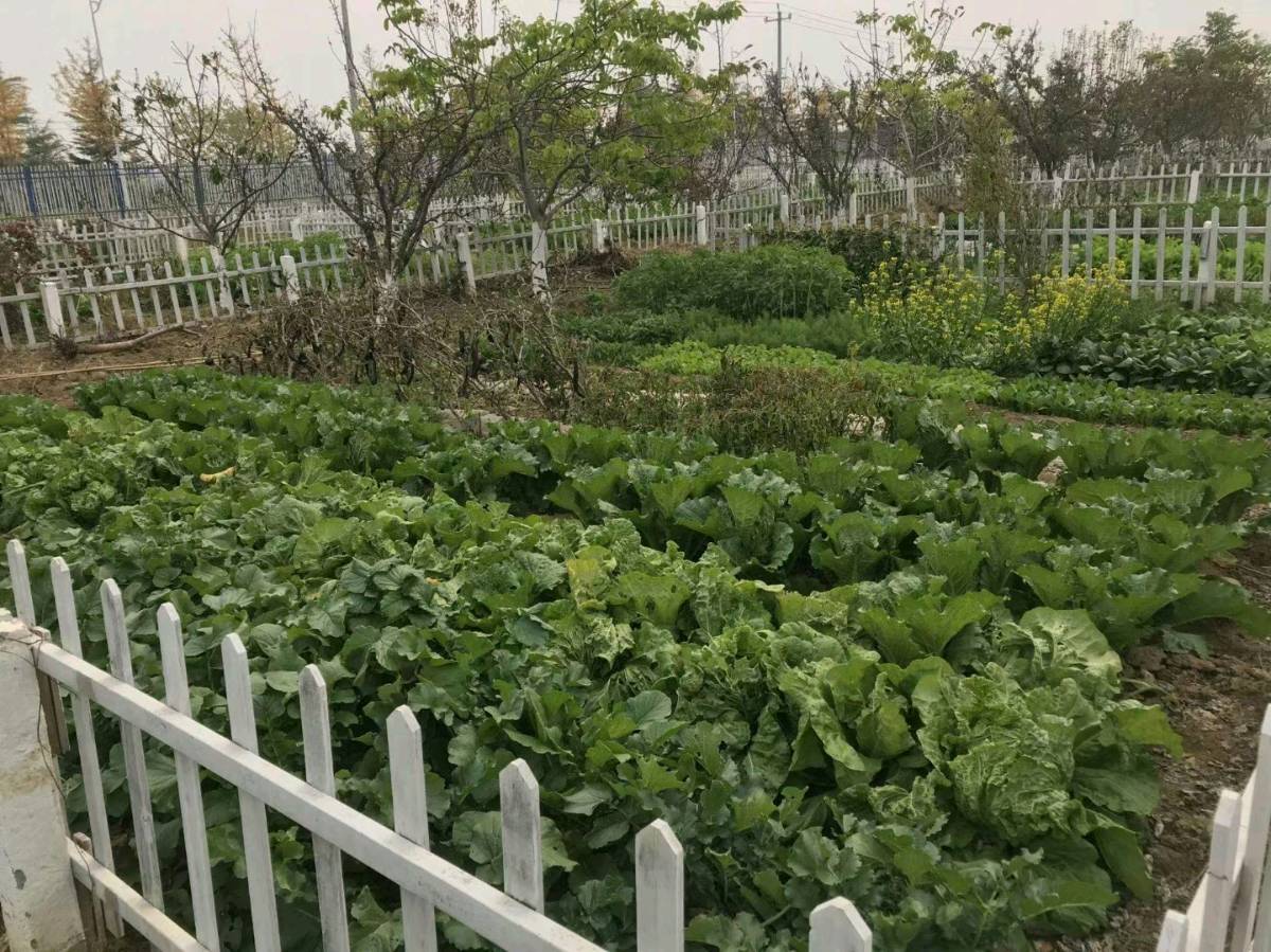 中华诗艺黑龙江分社微刊第115期（图6）