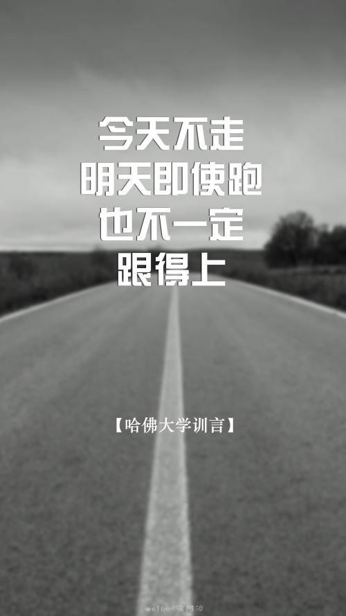 国风上海社第三十七期诗刊—上海头条（图40）