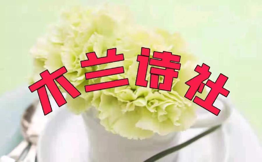 【紫罗兰文学社】汉俳专辑(都刊)|| 迎眸碧秀怜 欣然紫燕翩(图26)