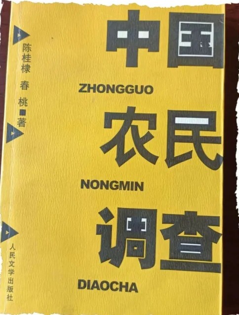 著名作家陈桂棣在萍乡鳌州书院举行讲座（图4）