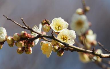 联机全球发布吴华龙作品欣赏！（图8）