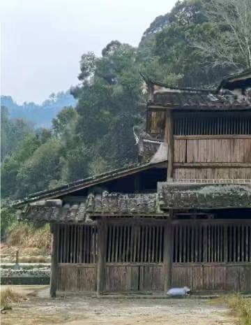 古人家（图3）