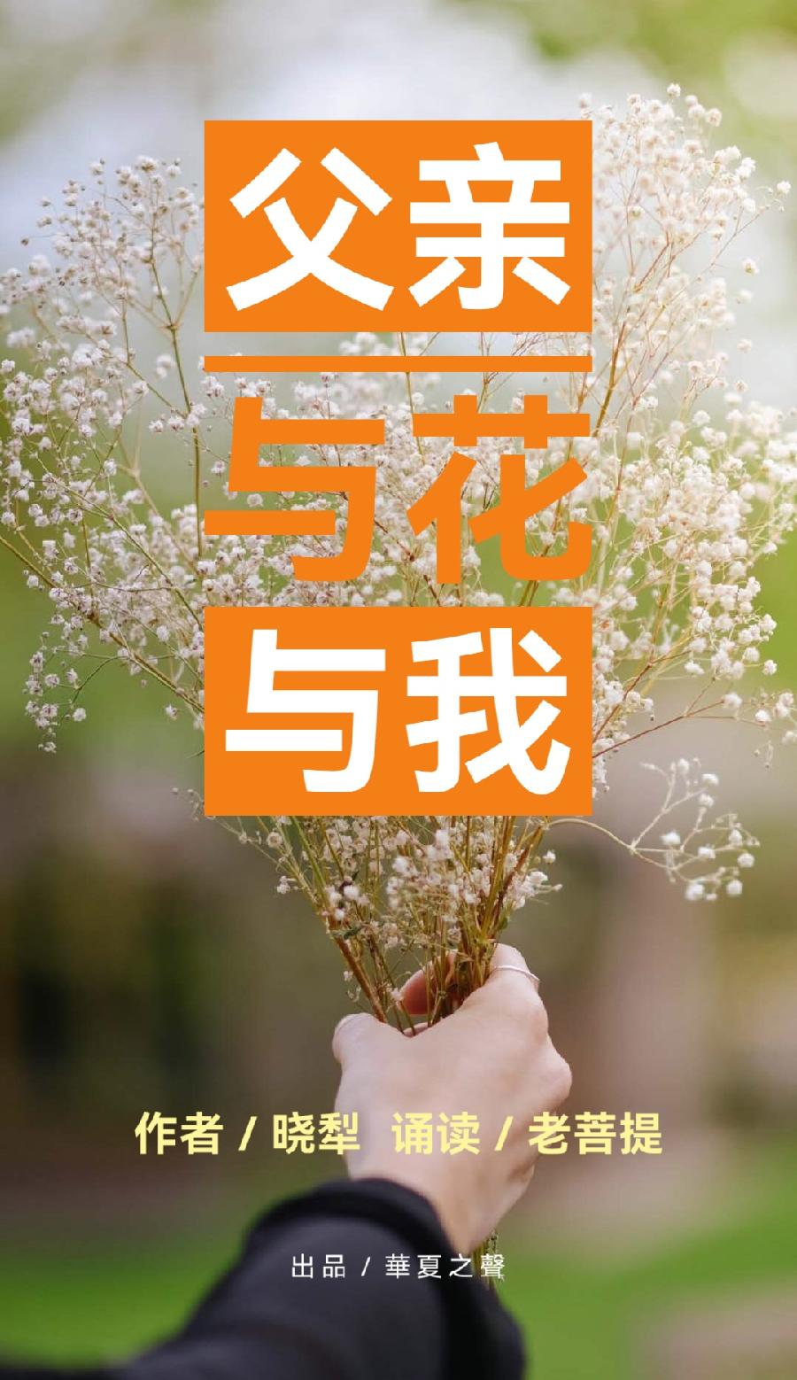 父亲与花与我∥作者/晓犁 诵读/老菩提(图2)