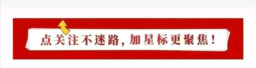 大家风采:上海崖丽娟老师佳作欣赏(图15)