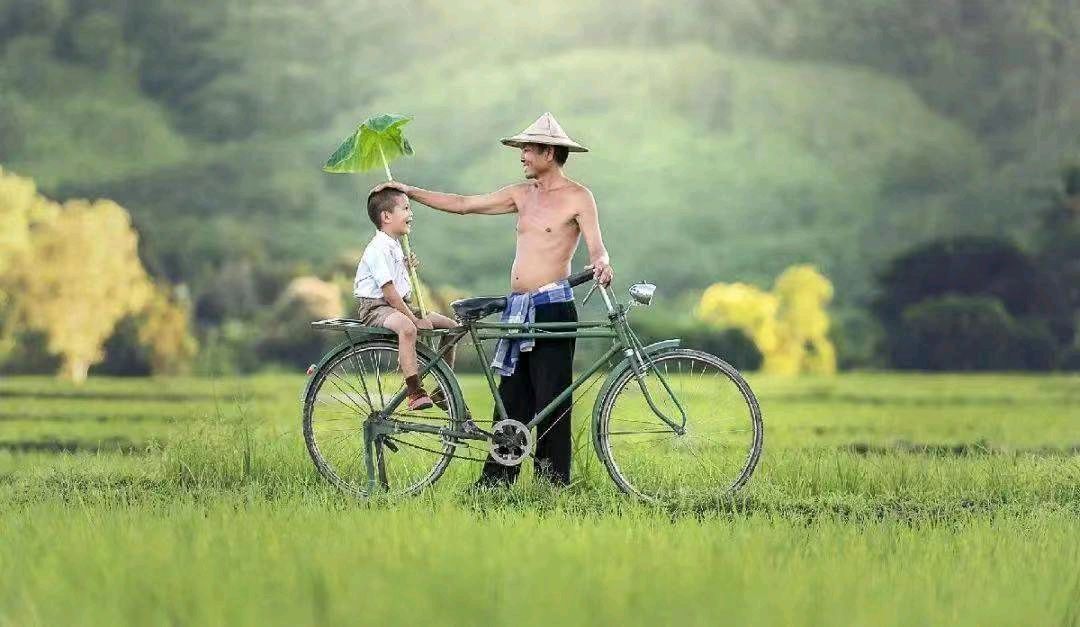 凤凰之歌朗诵【我的父亲】作者/王玉良（图7）