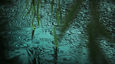 七言诗 夜雨跳珠／任建民（图8）