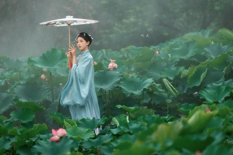 【经典推荐】张建国//七绝•思荷｛系列作品展｝（图6）