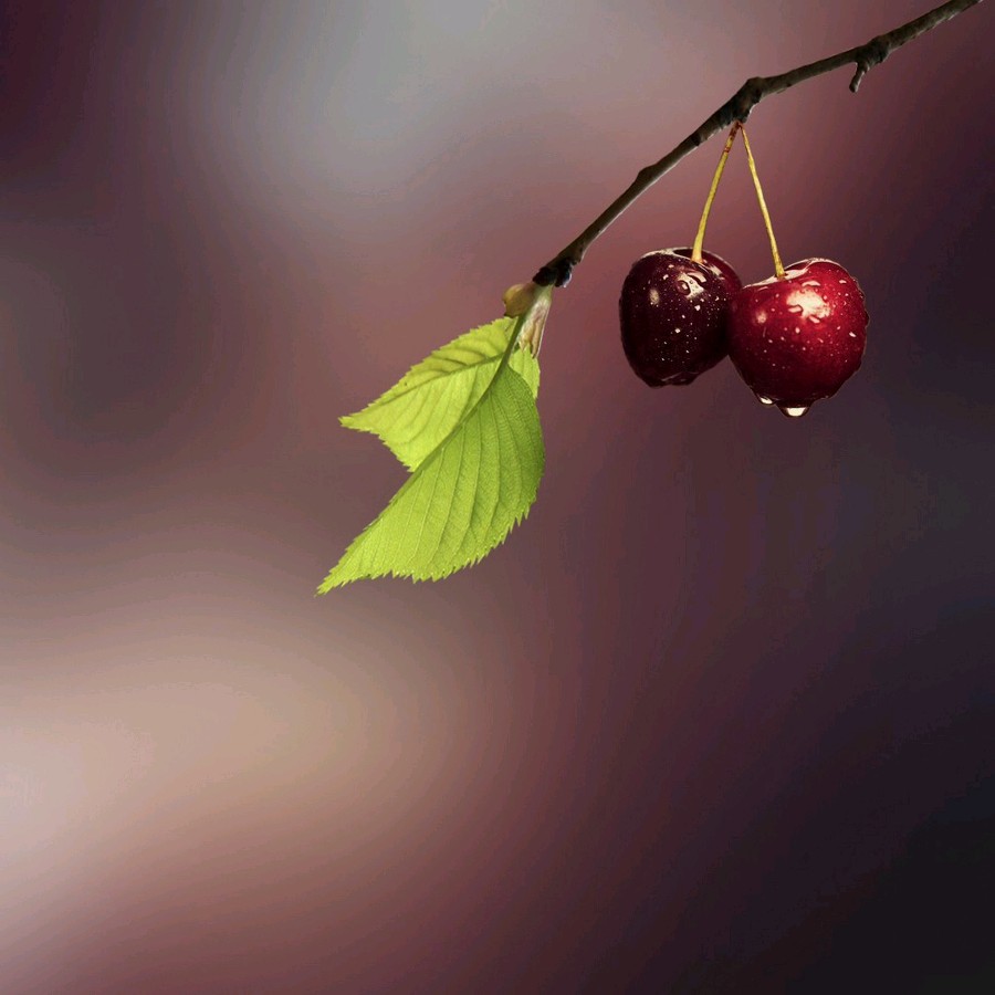 程宝玉〔内蒙古〕诗歌专辑十二【冰心文化传媒】（图31）