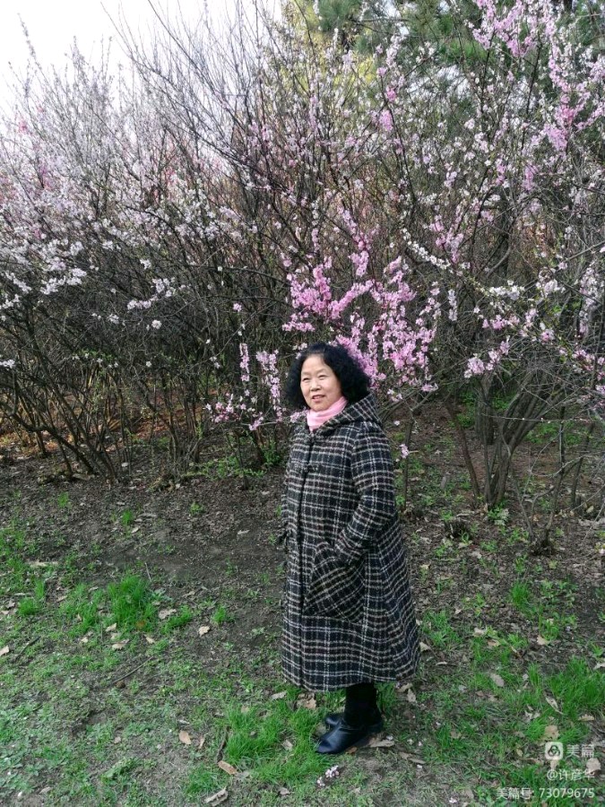 中华诗艺黑龙江分社微刊第116期(图34)
