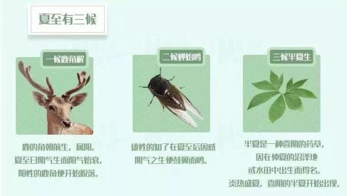 牛丽君朗诵【中国传统节日二十四节气系列小知识*夏至】文字整理/牛丽君（图7）