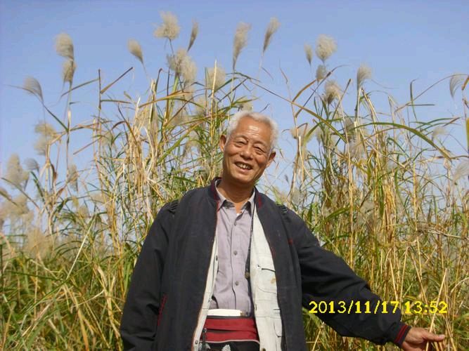 《芦花雪》作者:网田耕夫（山西）主播:青苗【桃源国际诗歌集团】用声音传递温暖以诵读致敬人生♬（图6）