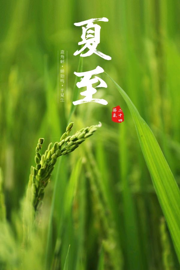 中华诗艺黑龙江分社微刊第119期（图14）