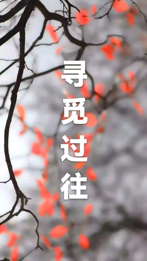 韩庚的《寻觅过往》