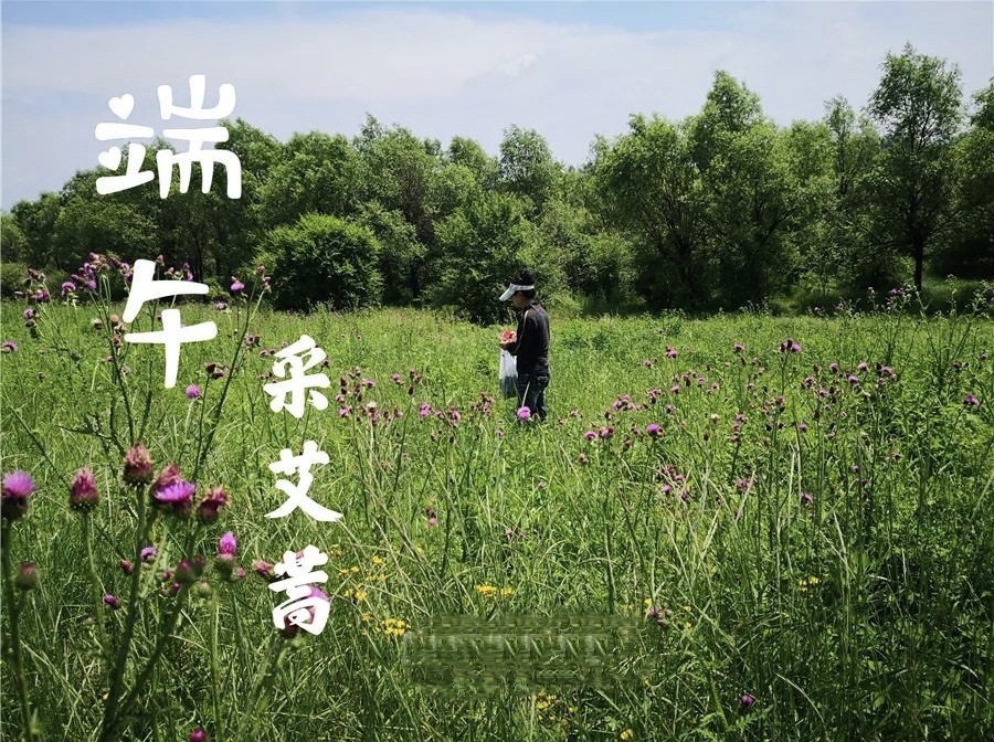 李敬党《端午情怀》主播、编辑:开心快乐【运河之春】(第073期)（图3）