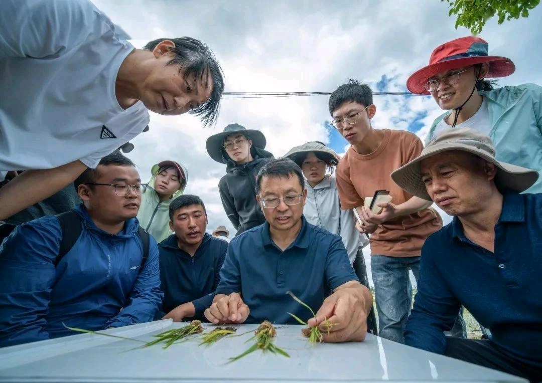 数字农业与智能装备为洱海科技小院插上“科技”翅膀(图13)