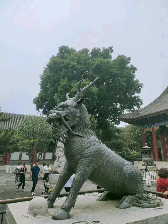 那年，你用沉默错过我作者西子（图2）