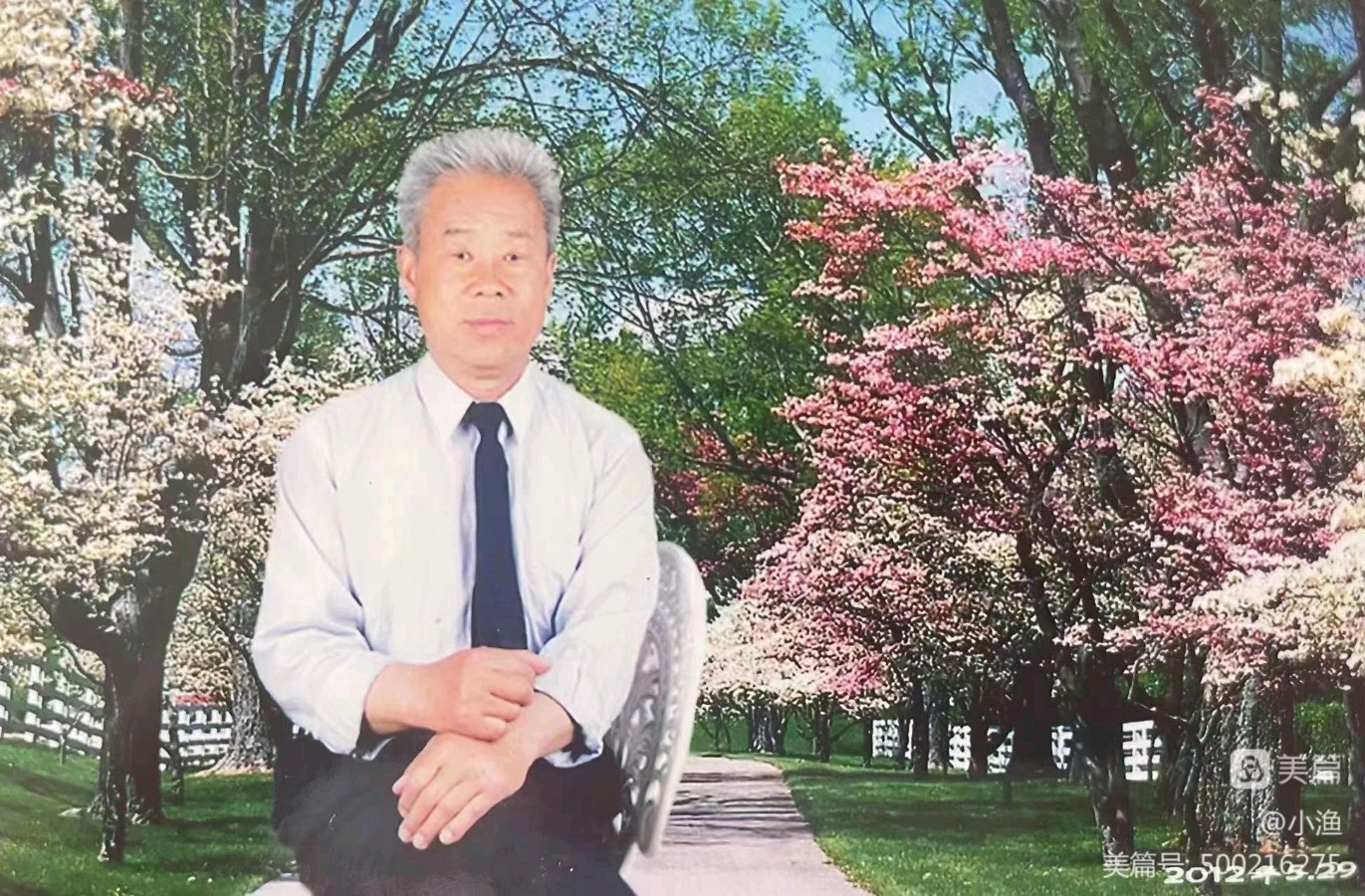 杨德辉老师专辑