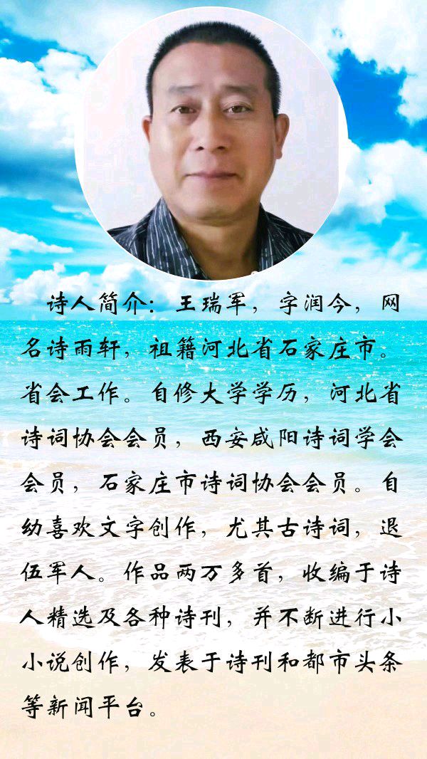 中华诗艺黑龙江分社微刊第121期（图11）
