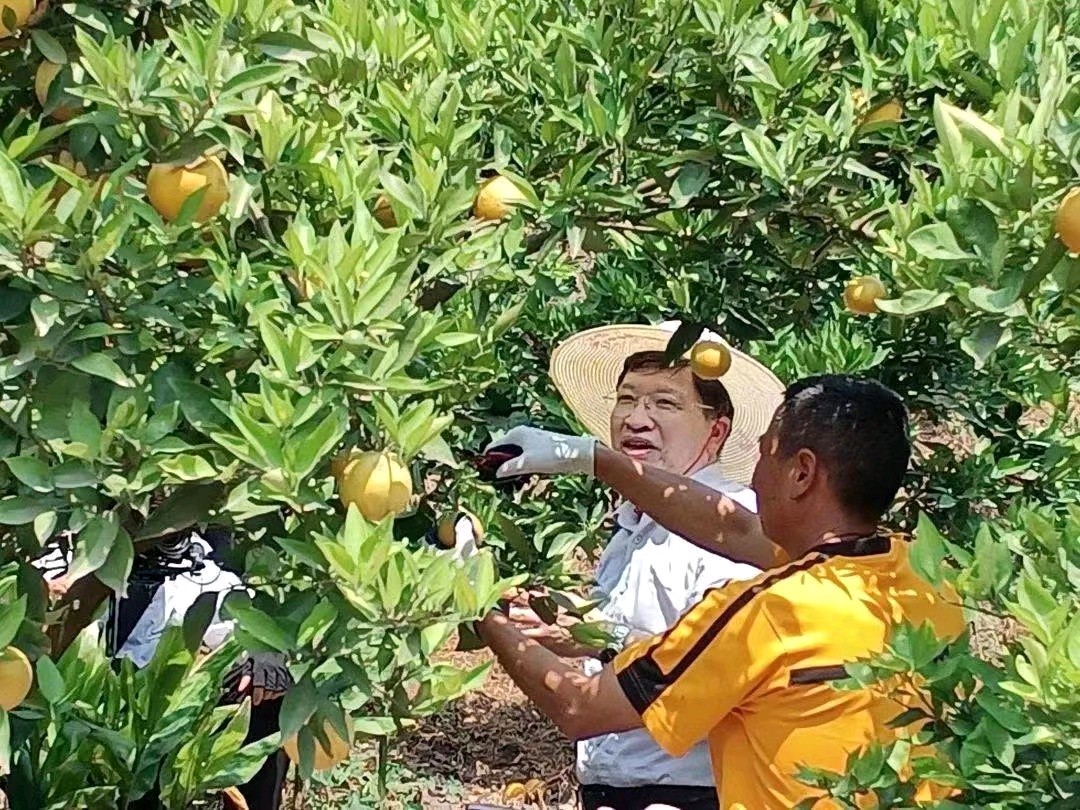 作者：文光清《岁岁过端阳 今年不一样》5021期【新京都文艺】（图5）