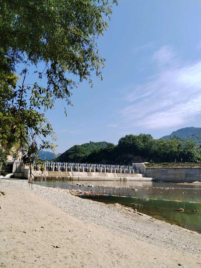 咏物（图4）