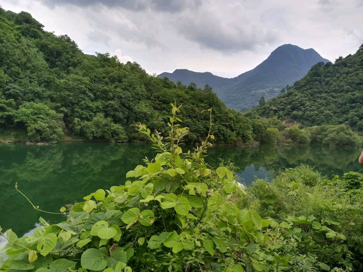 咏物