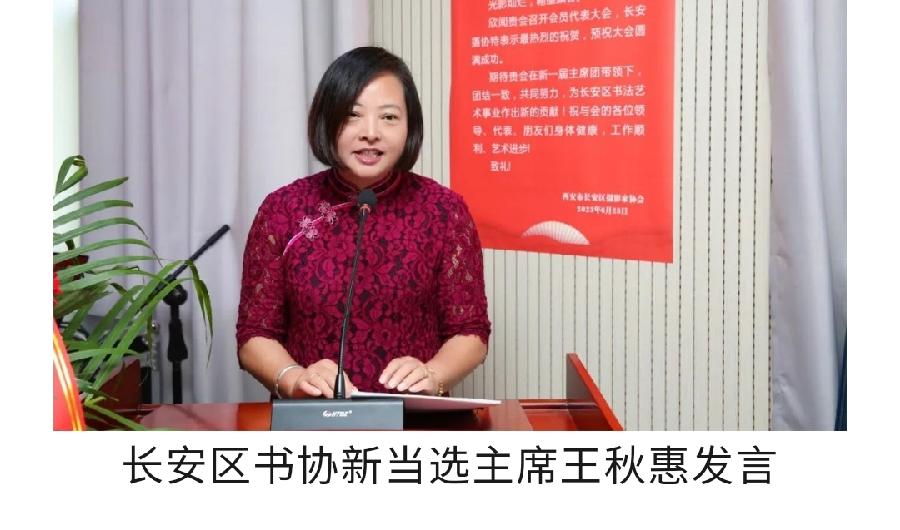 艺术长安 | 西安市长安区书法家协会会员代表大会胜利召开(图9)