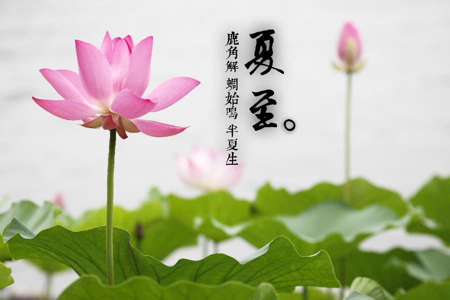 推荐丨许日辉 七绝《癸卯夏至节气感怀偶得》十二首（图3）