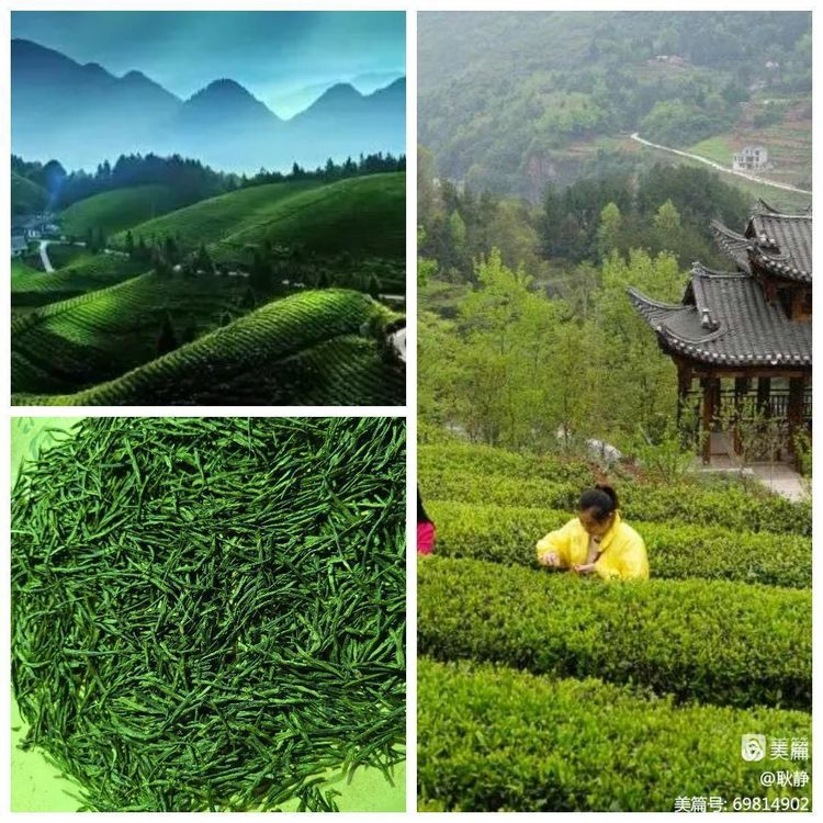 耿静:《散曲雅集之春满茶山》(图2)