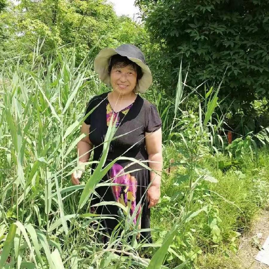 《江南诗絮文化中心》尘缘-诗评专辑(图16)