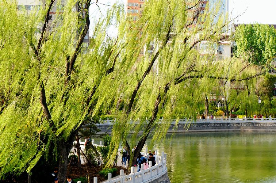 【新诗大观】那些关于风的记忆||文/金义(河北)
