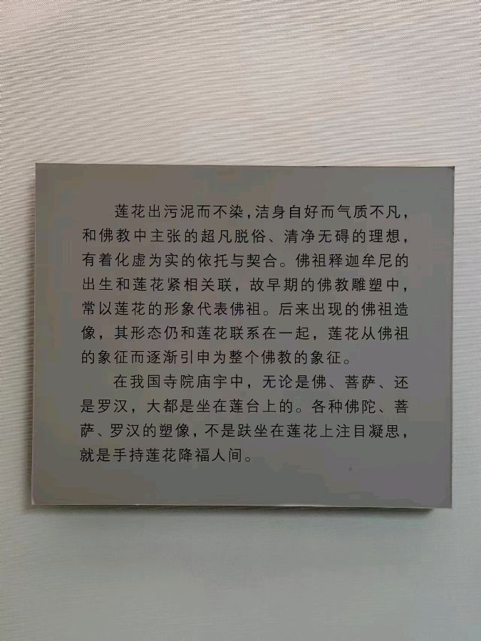 李禹志自驾游视频及图片（十一）（图72）