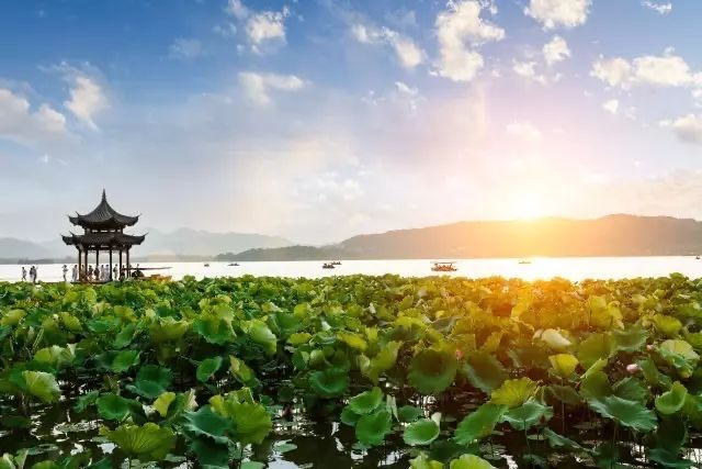【新诗大观】火热的夏季||文/金义(河北)