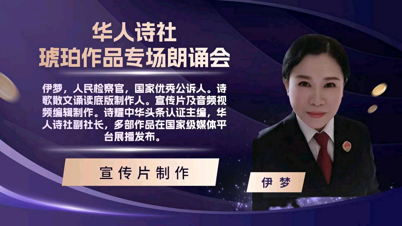 华人诗社琥珀(子轩)个人作品专场朗诵会（图15）
