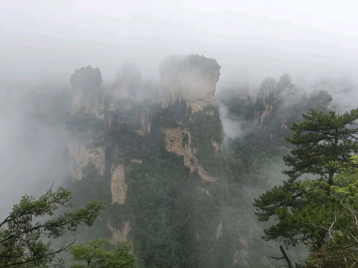 我在回家的路上抒情 作者 张德群 京津沪头条（图5）