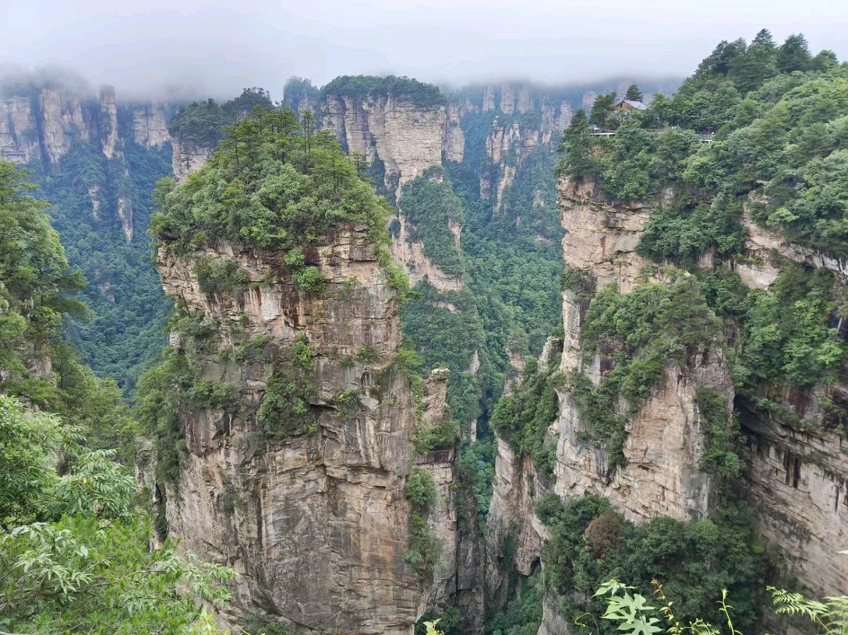 我在回家的路上抒情 作者 张德群 京津沪头条（图3）