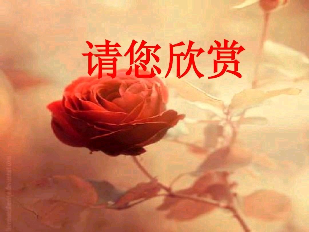 觉醒年代——文/米义勇（四川成都）——【世界汉诗】征稿——都市头条（图8）