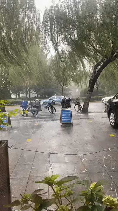 《雨滴的诉说》认证诗人/海石之恋、金牌主播/山谷幽兰。（图4）
