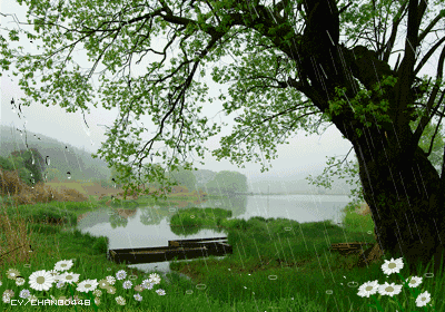 《雨滴的诉说》认证诗人/海石之恋、金牌主播/山谷幽兰。（图6）
