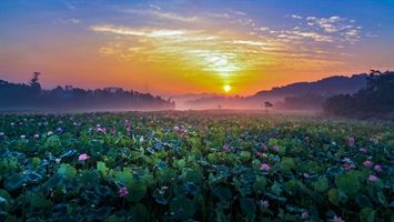 张昕夏至诗词曲六首（图9）