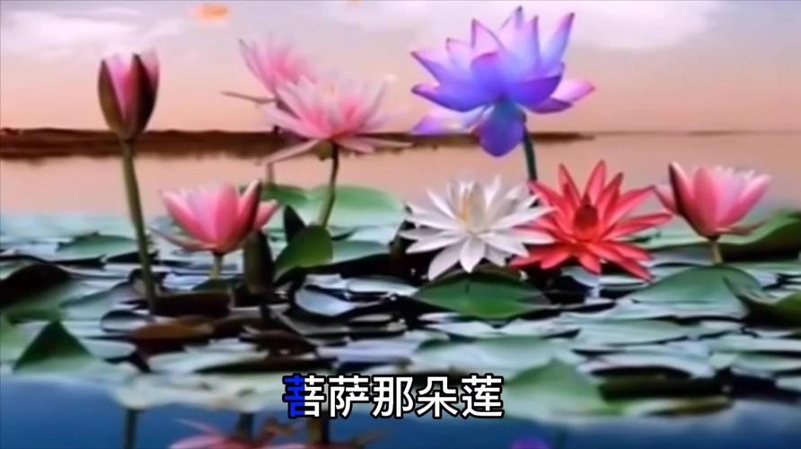 【经典推荐】昨夜天//来生 化作佛前那朵莲（图4）