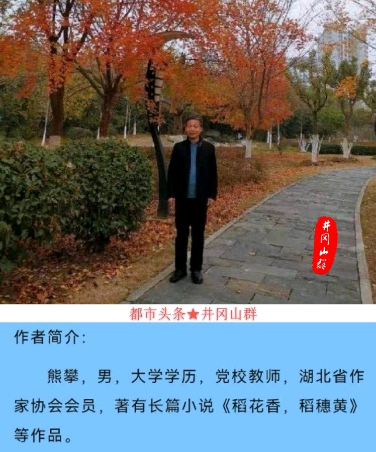 缝纫剪刀~文║熊攀(图13)