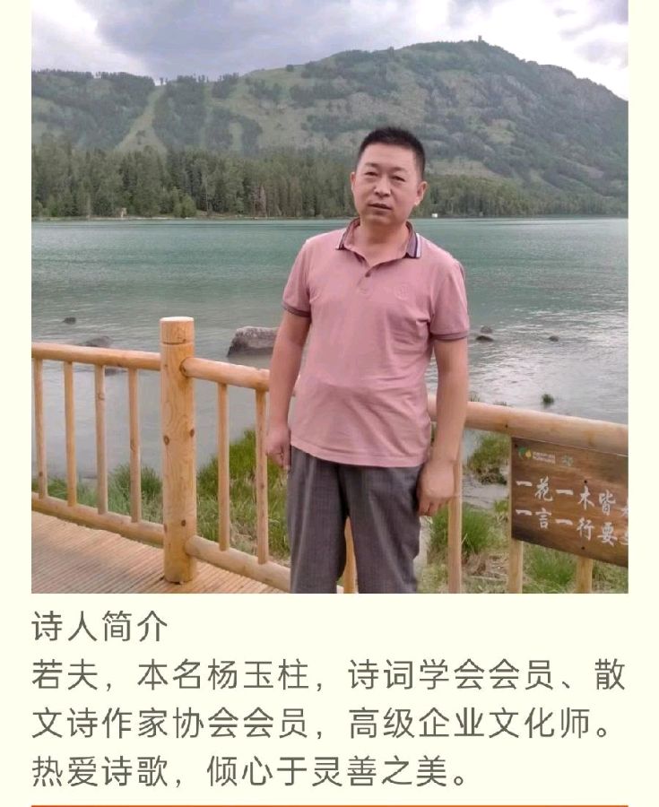 弘华朗诵【所有的经历都是在修行，我们修炼忠诚】作者/若夫（图2）