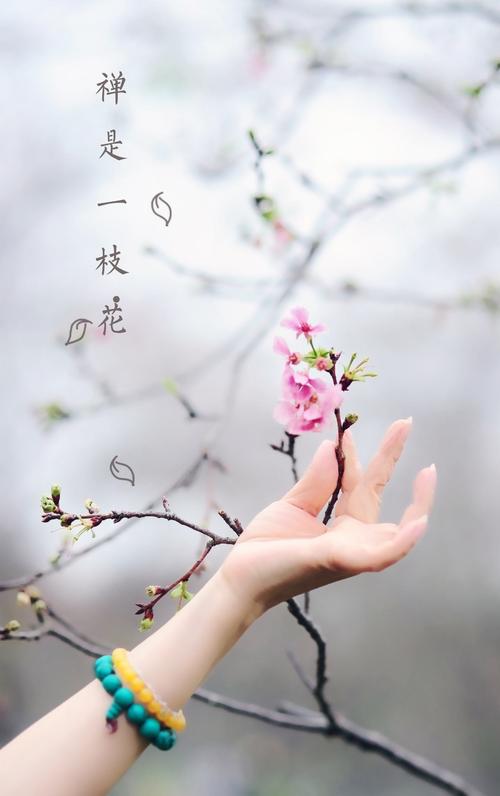 【新山东文学社】《花等待，叶忧伤（外一首）》作者/大浪淘沙 主播/风和日丽（图4）