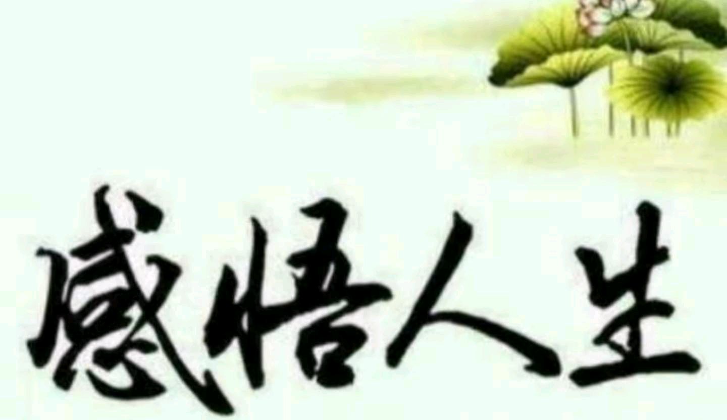 《感悟人生》 文/谢桂荣~龙城头条(图35)