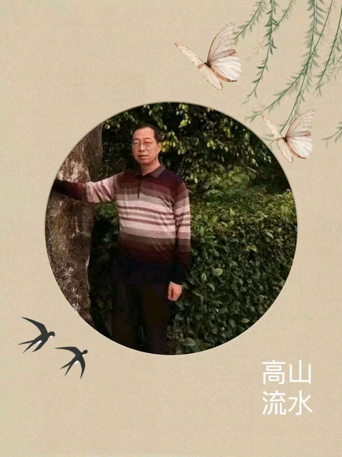 中华诗艺黑龙江分社微刊第128期(图47)
