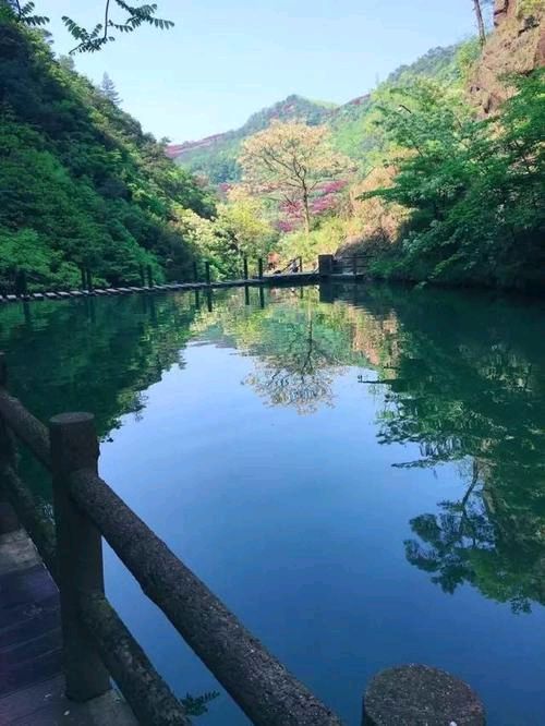 《半夏》作者:风清【主播:知语】【桃源国际诗歌集团】用声音传递温暖以诵读致敬人生♬（图5）